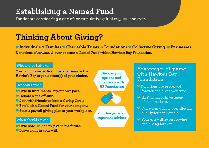 Infographics Establishing A Named Fund 2017