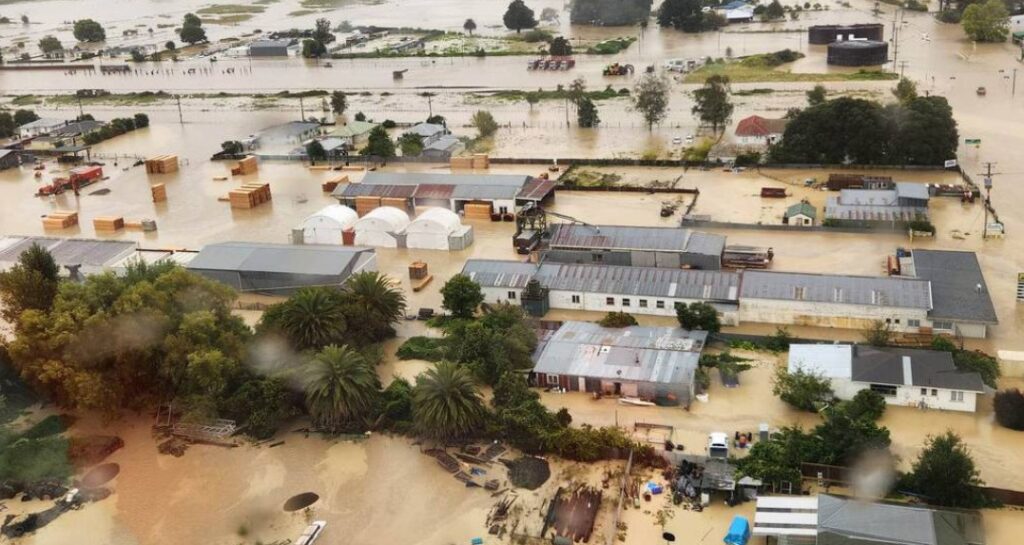 Cyclone-Hit Wairoa One Month On
